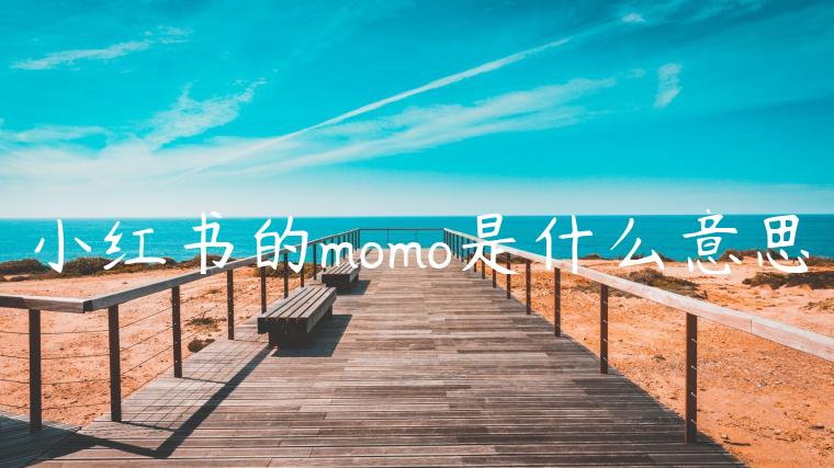 小红书的momo是什么意思