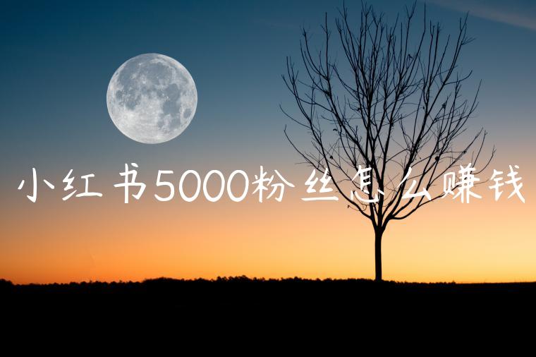 小红书5000粉丝怎么赚钱