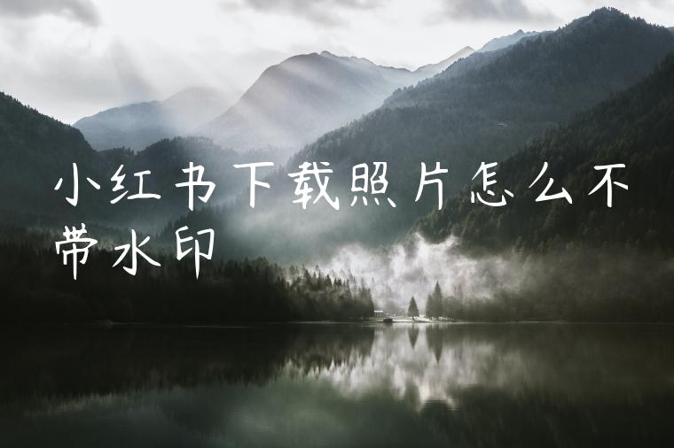 小红书下载照片怎么不带水印