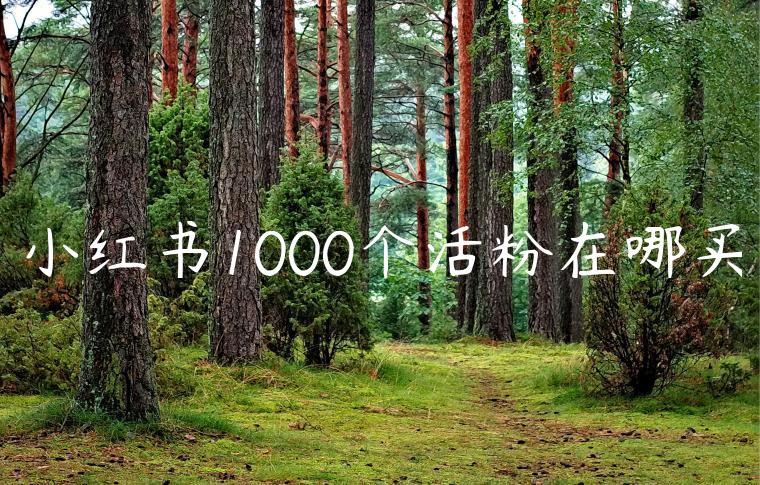 小红书1000个活粉在哪买