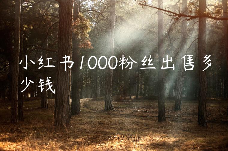 小红书1000粉丝出售多少钱