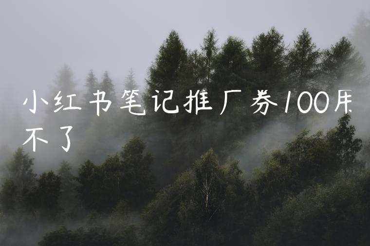 小红书笔记推广券100用不了