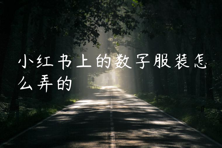 小红书上的数字服装怎么弄的