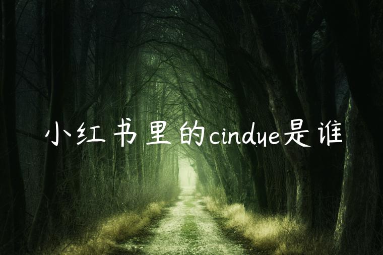 小红书里的cindye是谁