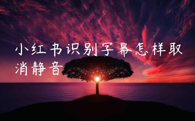 小红书识别字幕怎样取消静音