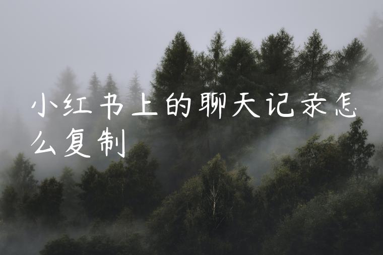 小红书上的聊天记录怎么复制