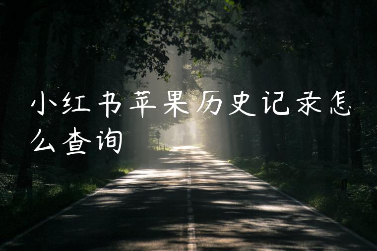 小红书苹果历史记录怎么查询