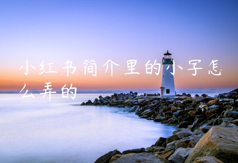 小红书简介里的小字怎么弄的