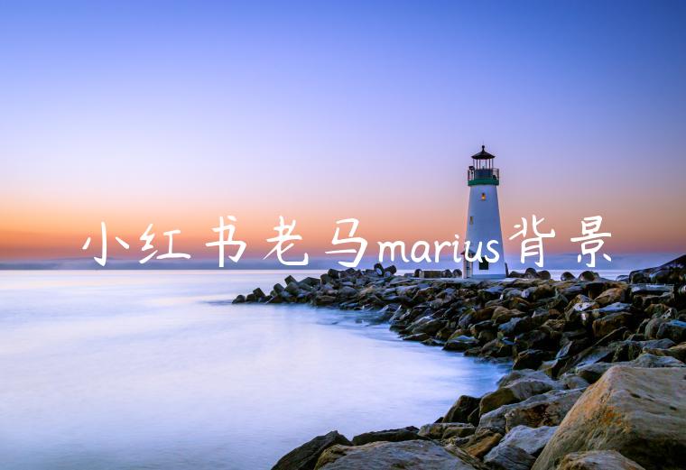 小红书老马marius背景