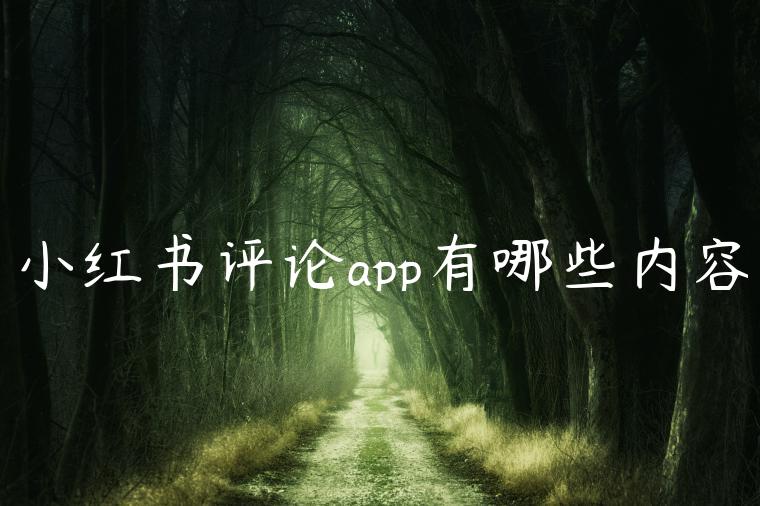 小红书评论app有哪些内容