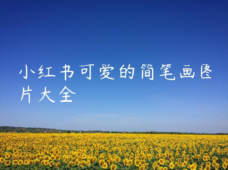 小红书可爱的简笔画图片大全