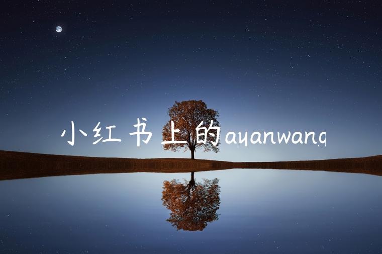 小红书上的ayanwang