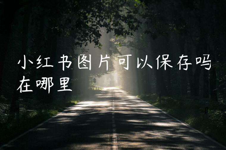 小红书图片可以保存吗在哪里