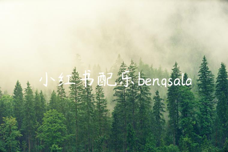 小红书配乐bengsala