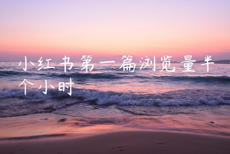 小红书第一篇浏览量半个小时