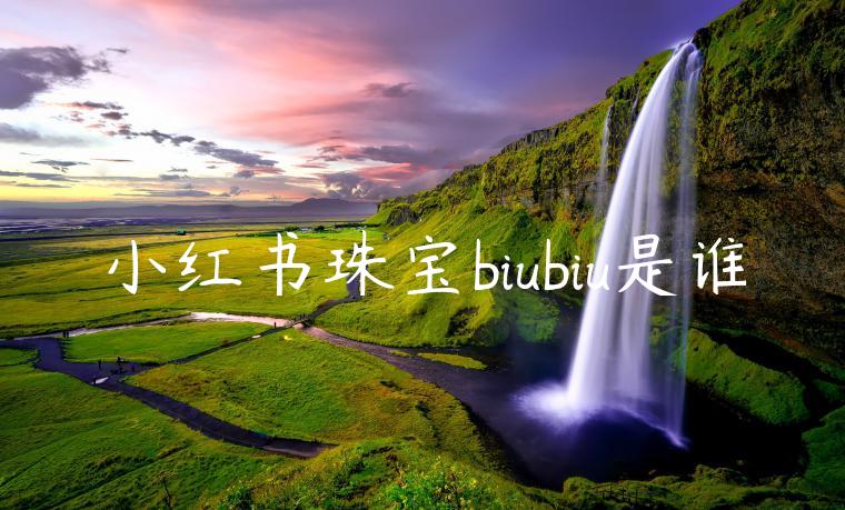 小红书珠宝biubiu是谁