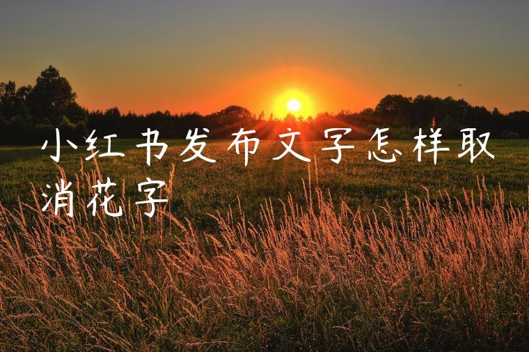 小红书发布文字怎样取消花字