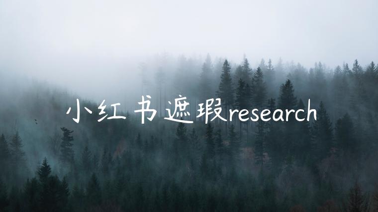 小红书遮瑕research