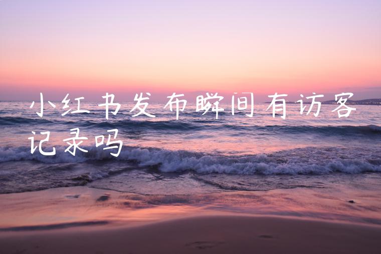 小红书发布瞬间有访客记录吗