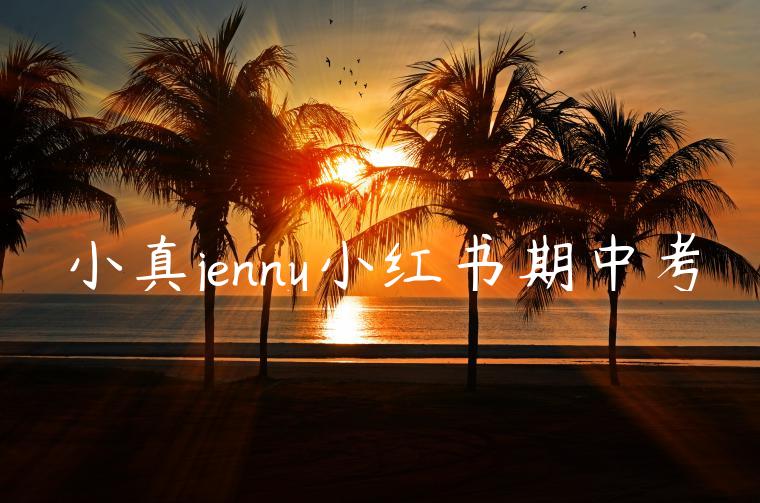 小真jenny小红书期中考