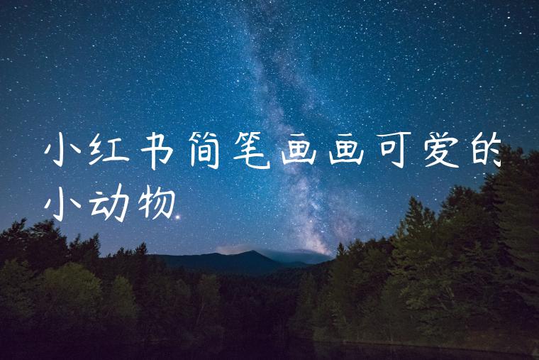 小红书简笔画画可爱的小动物