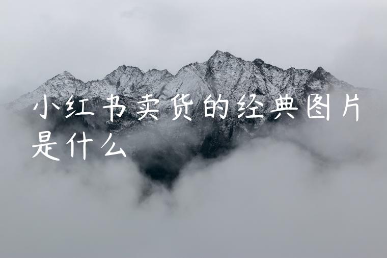 小红书卖货的经典图片是什么