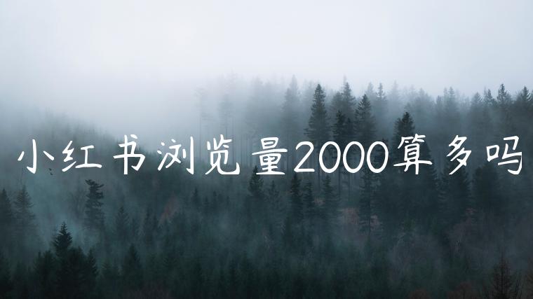 小红书浏览量2000算多吗