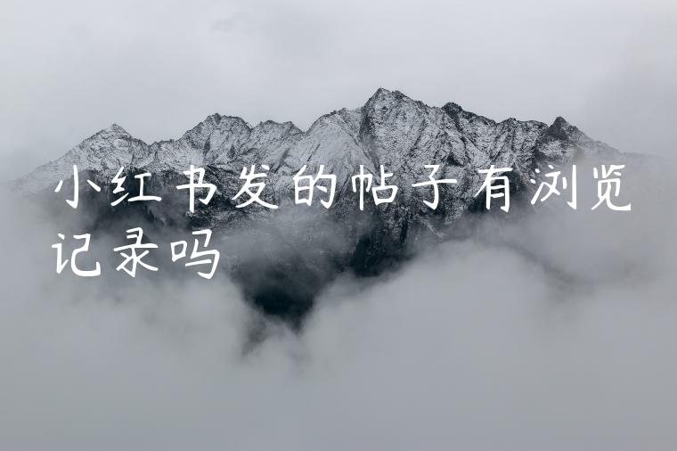 小红书发的帖子有浏览记录吗