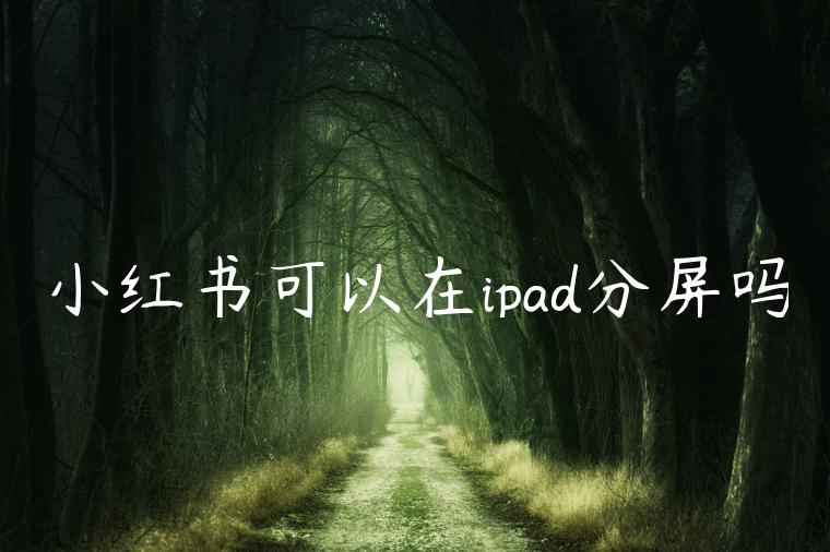 小红书可以在ipad分屏吗