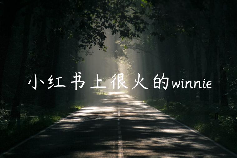 小红书上很火的winnie