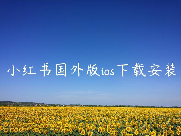 小红书国外版ios下载安装