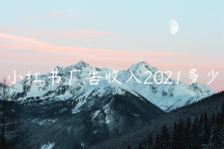 小红书广告收入2021多少