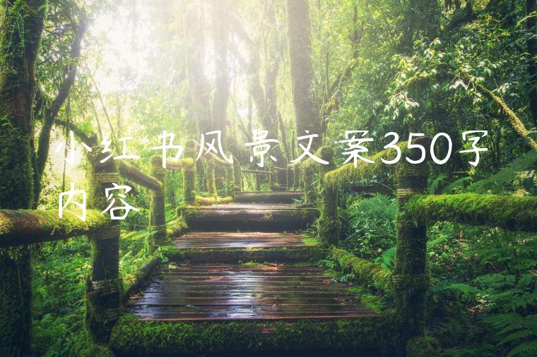 小红书风景文案350字内容