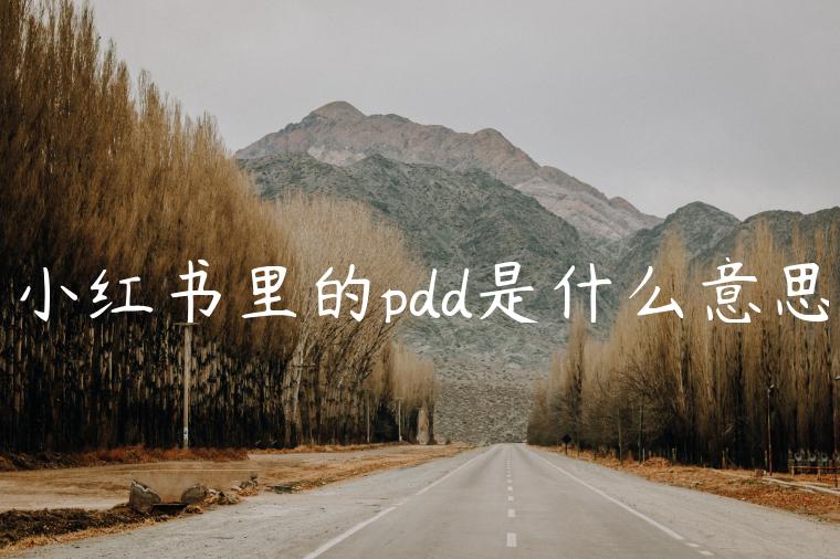 小红书里的pdd是什么意思