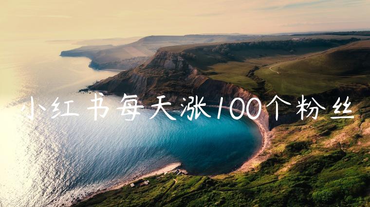 小红书每天涨100个粉丝