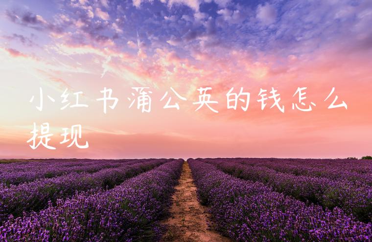 小红书蒲公英的钱怎么提现