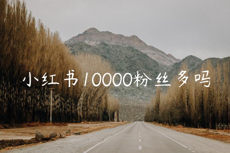 小红书10000粉丝多吗