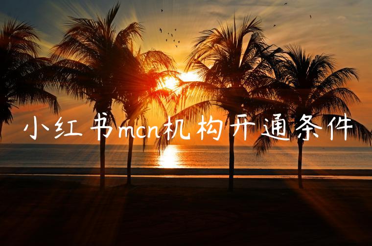 小红书mcn机构开通条件