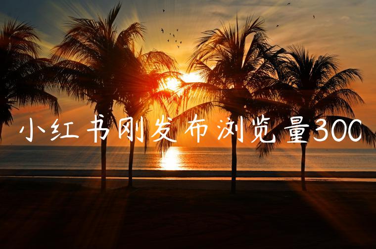 小红书刚发布浏览量300