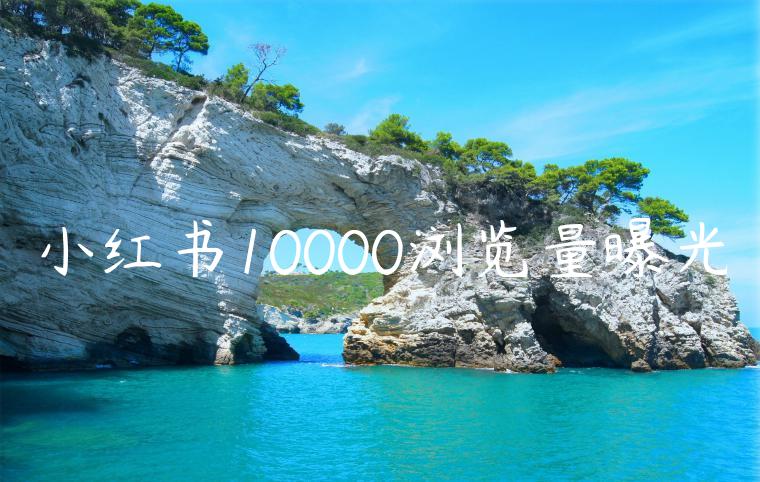 小红书10000浏览量曝光