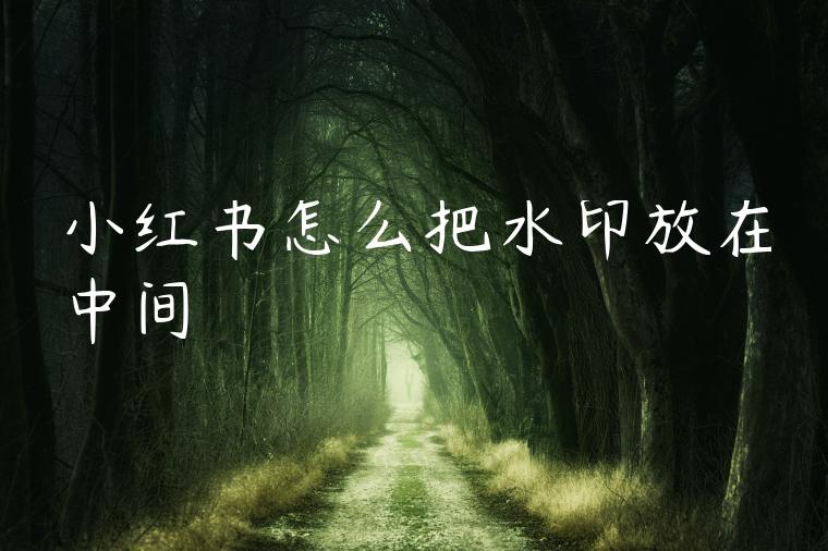 小红书怎么把水印放在中间