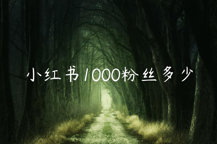 小红书1000粉丝多少