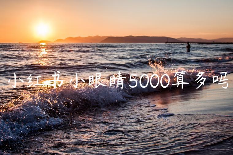 小红书小眼睛5000算多吗