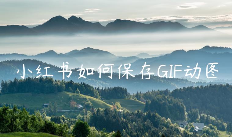 小红书如何保存GIF动图