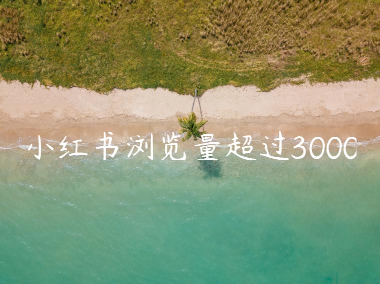 小红书浏览量超过3000