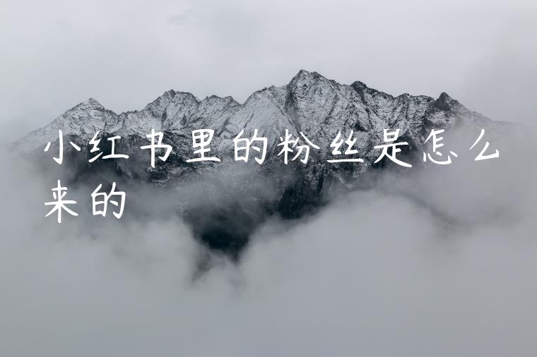 小红书里的粉丝是怎么来的