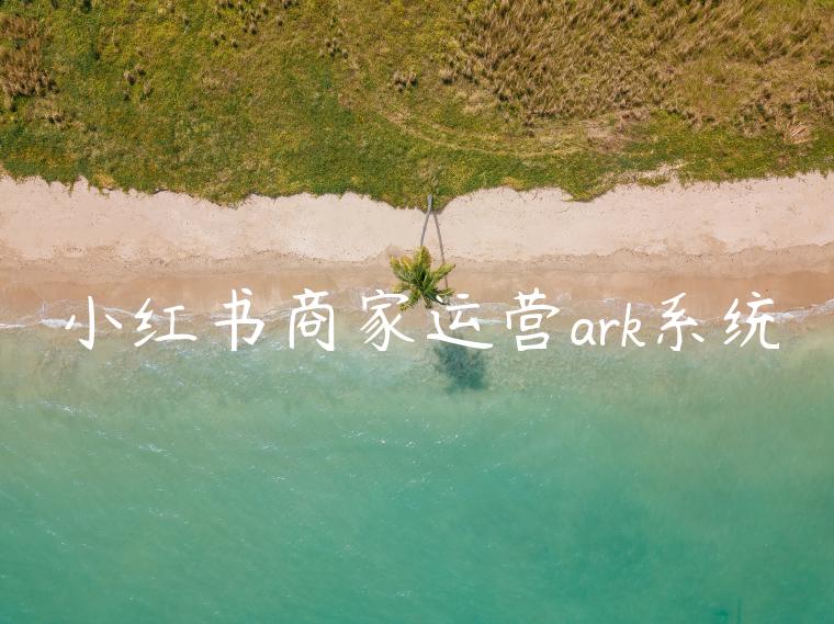 小红书商家运营ark系统