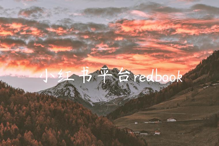 小红书平台redbook