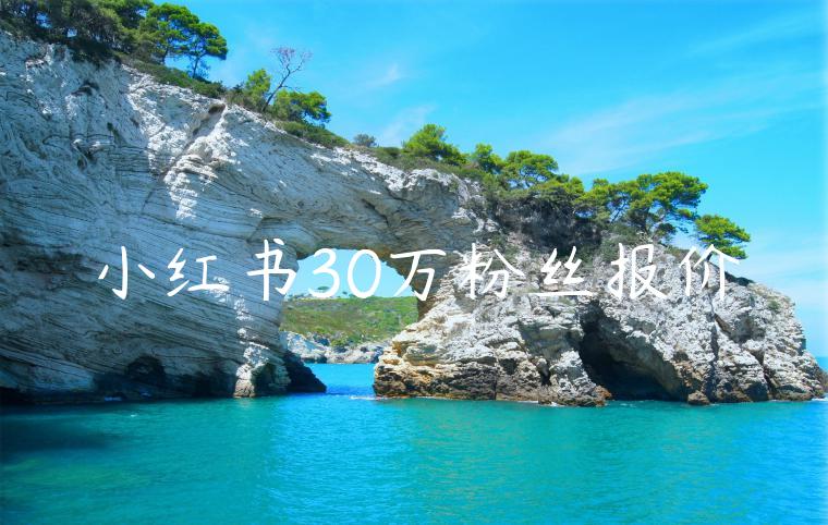 小红书30万粉丝报价