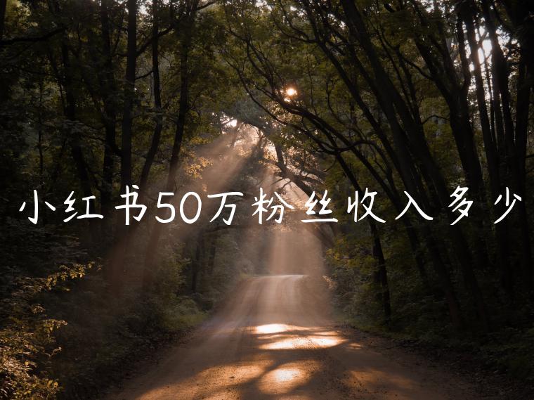 小红书50万粉丝收入多少